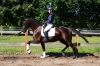 Filou