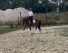 Con Elsa