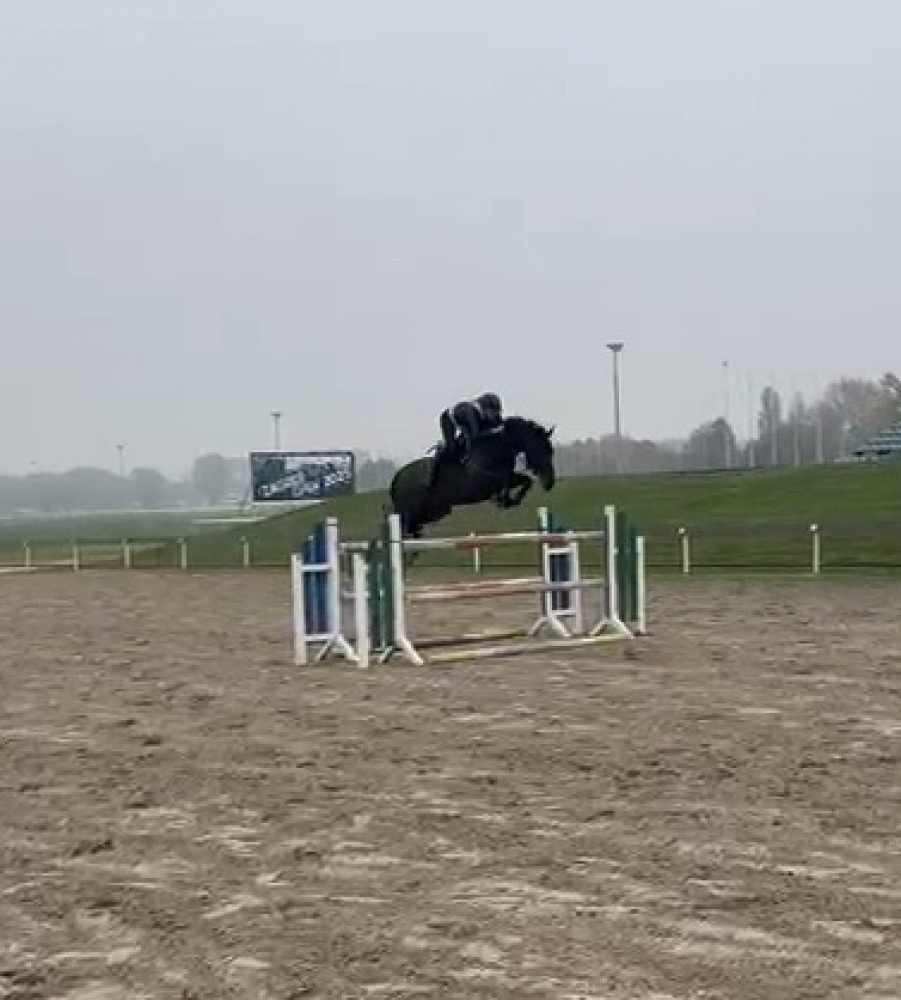 CORNET VAN SISSI RT Z 