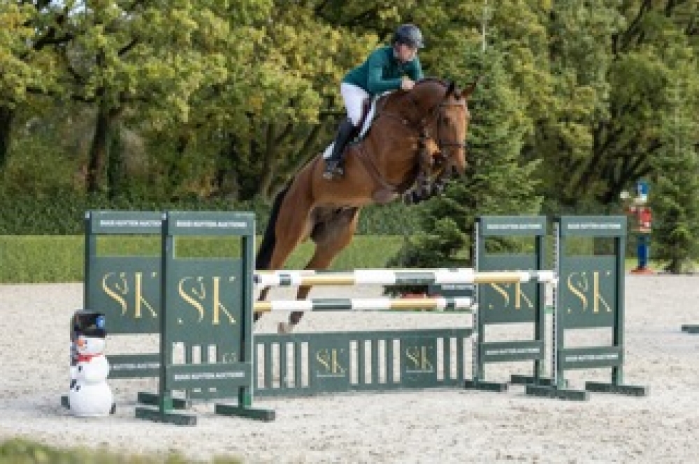 Commerce De Muze HFF Z