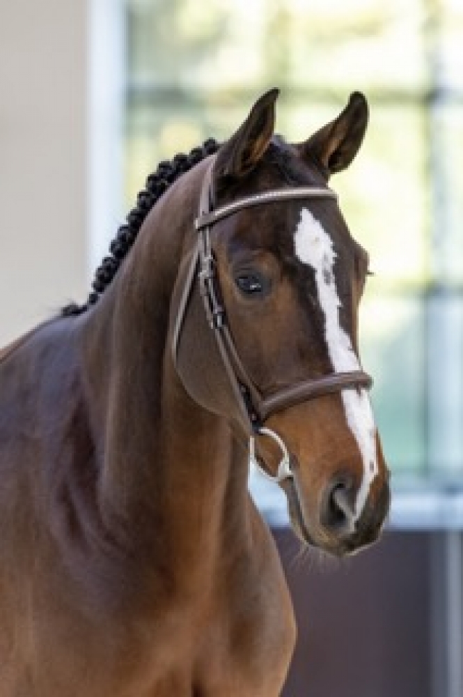 Urmeliet Van Seven Oaks