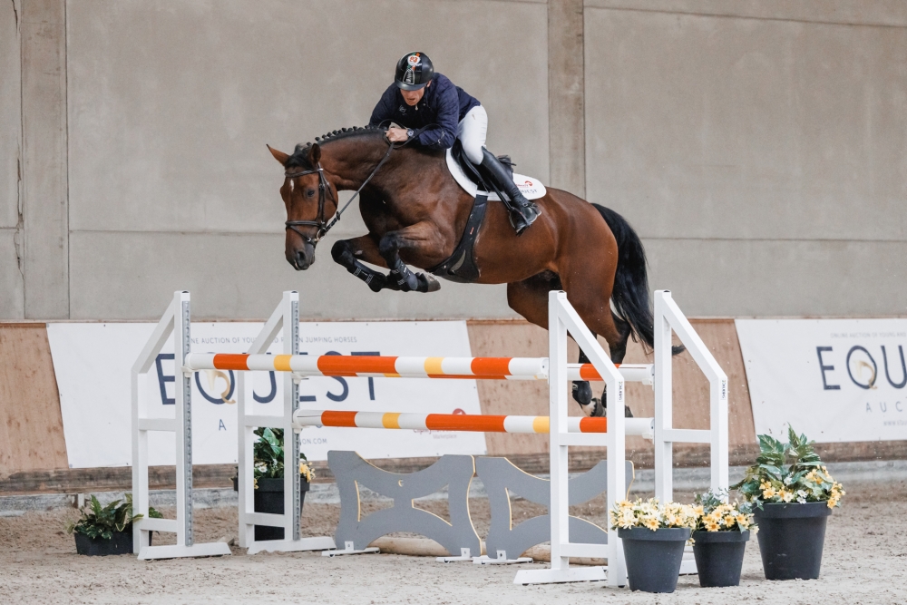 Hartjelief Alda GDL Z	