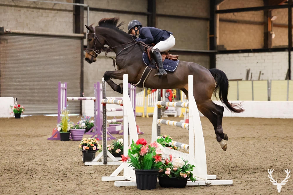 Hidalgo du Mury Marais Z