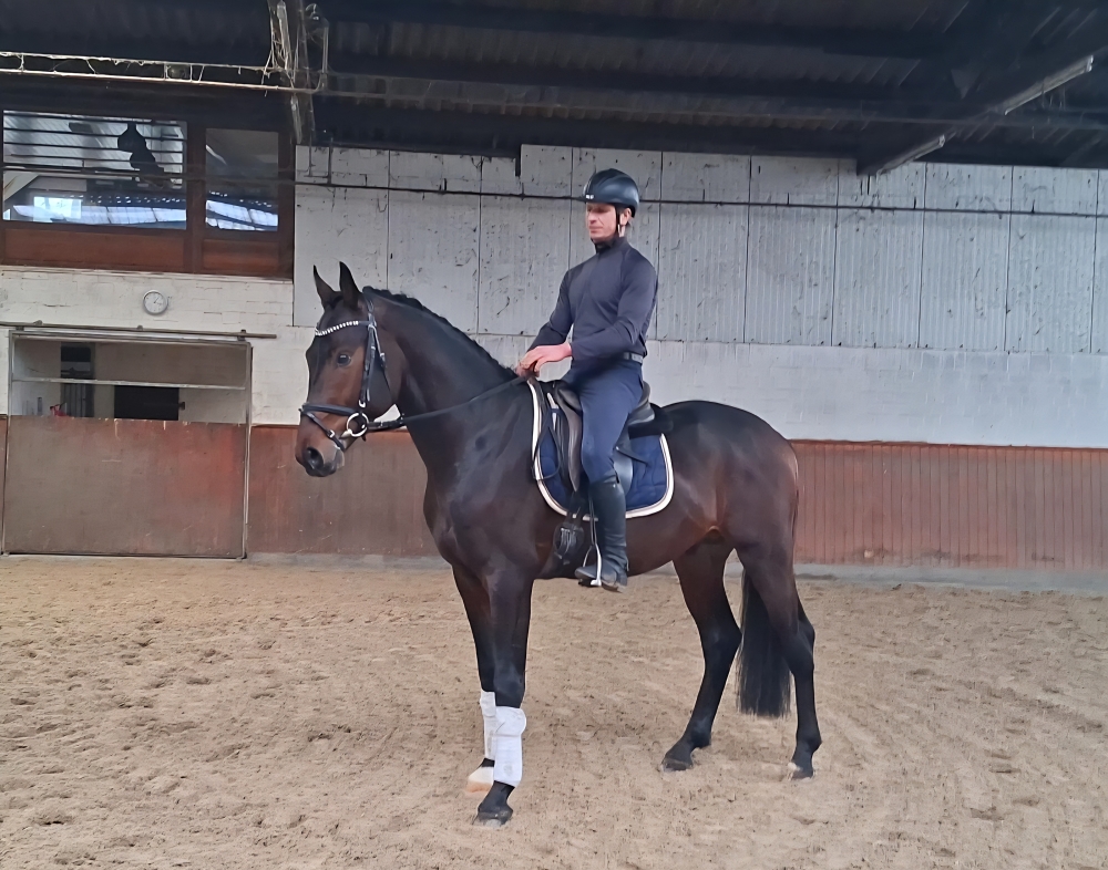 Dynamic Dream  - Boston 