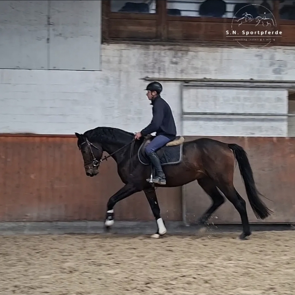 Dynamic Dream  - Boston 