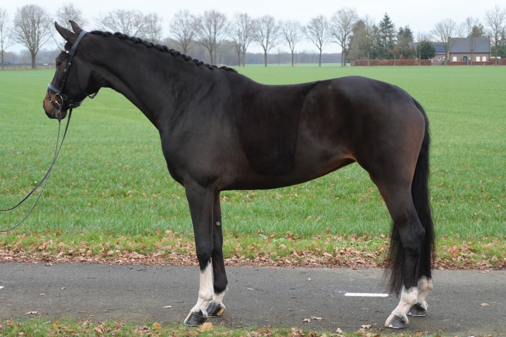 VADERLAND - Heinrich Heine