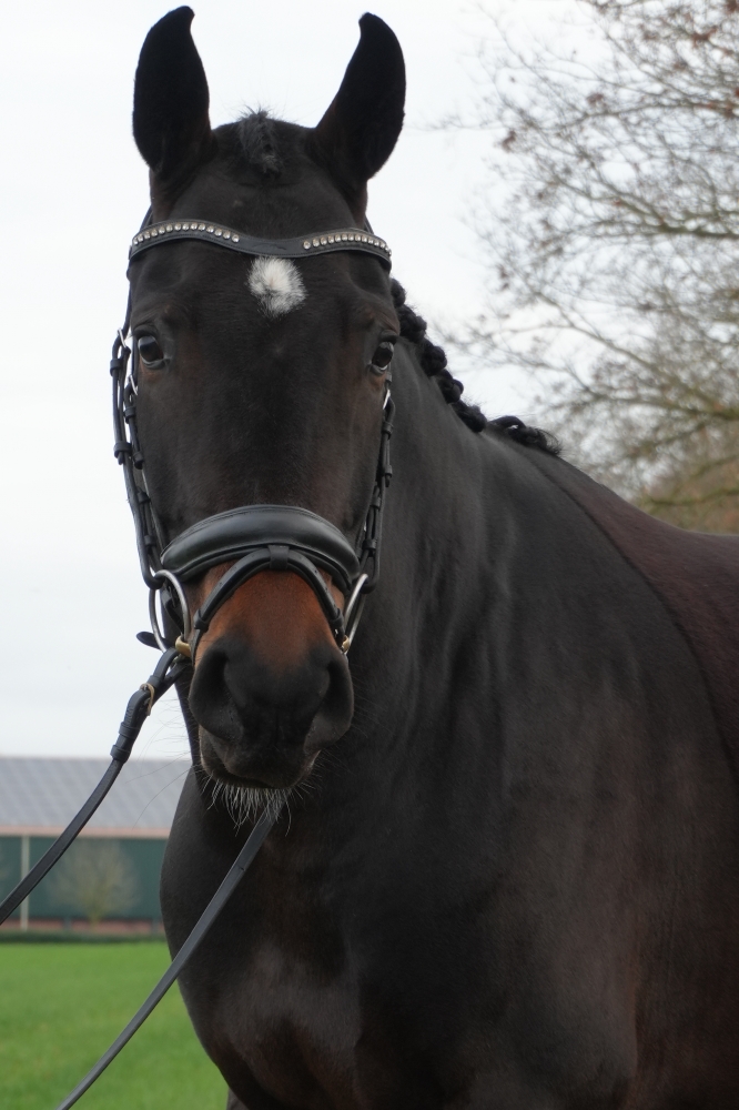 VADERLAND - Heinrich Heine