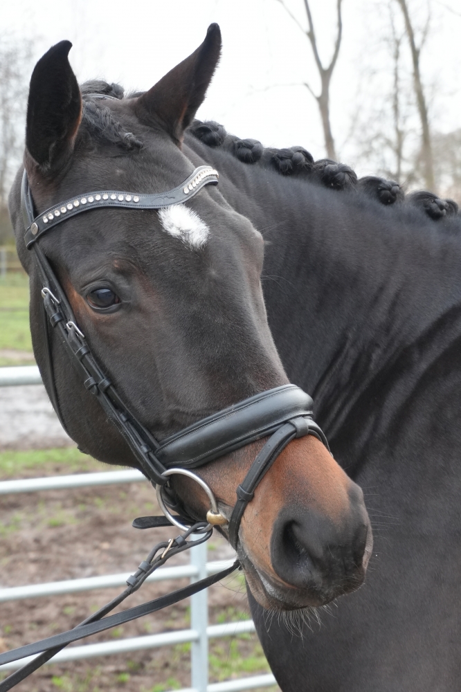 VADERLAND - Heinrich Heine