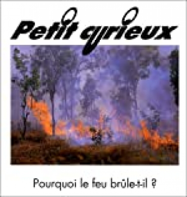 Pourquoi le feu brûle-t-il ?