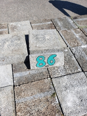 Pavés de béton