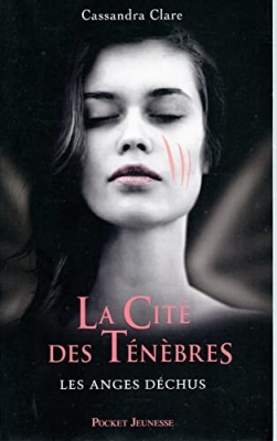 La Cité des Ténèbres, tome 4 - Les anges déchus