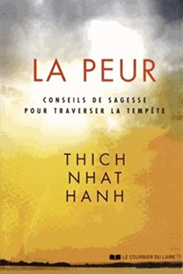 La peur - Conseils de sagesse pour traverser la tempête
