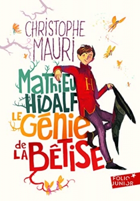 Mathieu Hidalf : Le génie de la bêtise