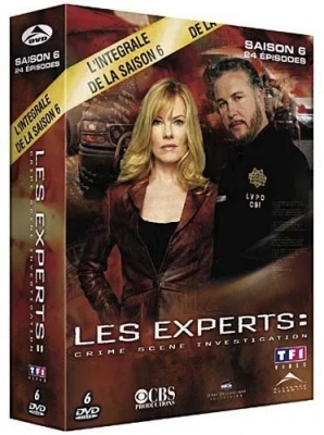 Les Experts-Saison 6