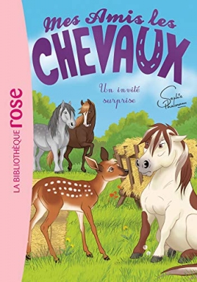 Mes Amis les chevaux, tome 28 - Un invité surprise