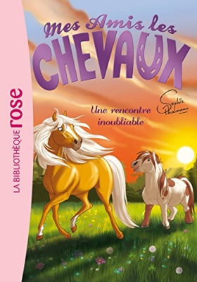 Mes amis les chevaux, tome 6 - Une rencontre inoubliable