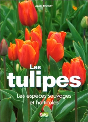 Les Tulipes