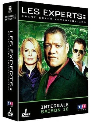 Les Experts-Saison 10