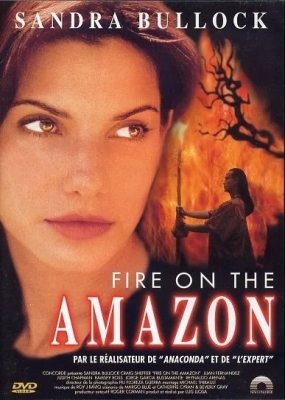 Fire on the Amazon
