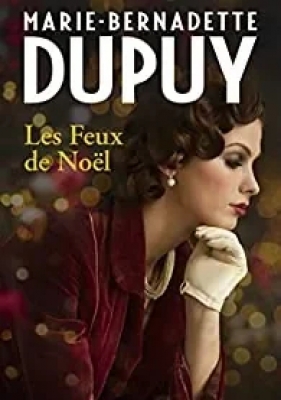 Les feux de Noël