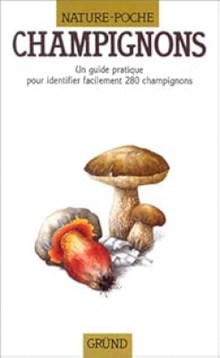 Champignons