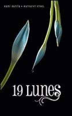 Le livre des lunes, tome 4 : 19 Lunes