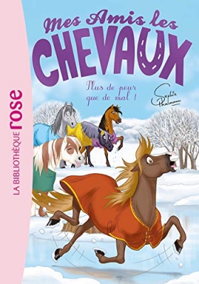 Mes amis les chevaux, tome 29 - Plus de peur que de mal !