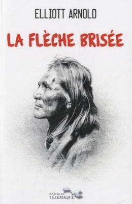 La flèche brisée