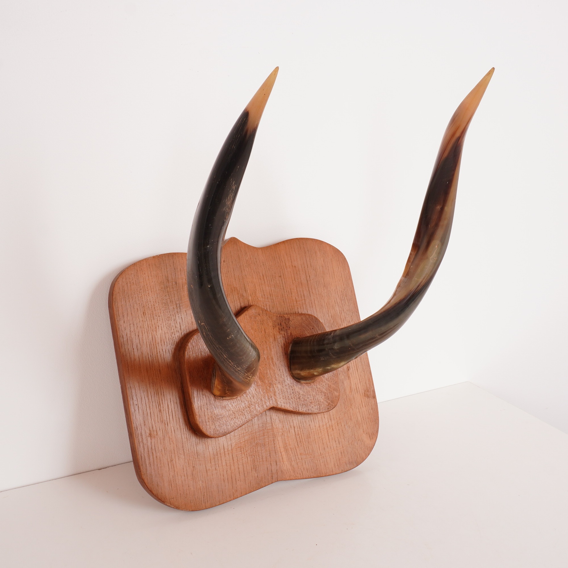 Paire de cornes de Kudu sur socle en laiton et laqué En vente sur