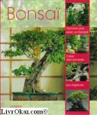 Bonsaï
