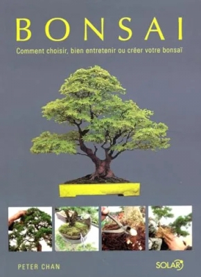 Bonsaï - Comment Choisir, Bien Entretenir Ou Créer Votre Bonsaï