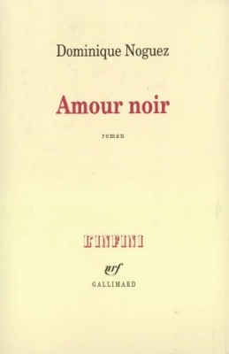 Amour noir - Prix Femina 1997