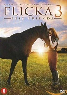 Flicka 3