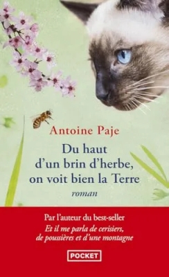 Du haut d'un brin d'herbe, on voit bien la Terre