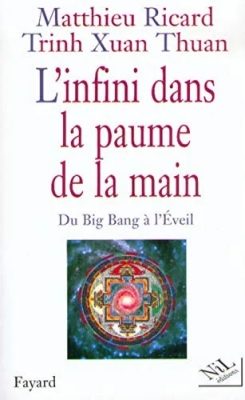 L'Infini dans la paume de la main - Du Big Bang à l'Eveil