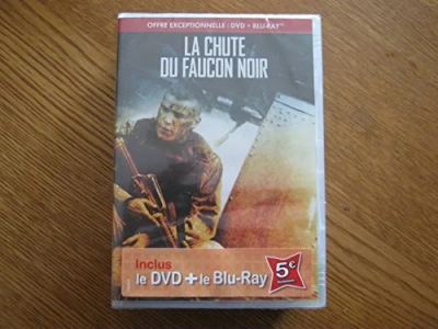 La Chute du faucon noir