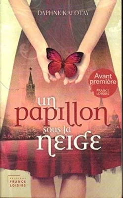 Un papillon sous la neige