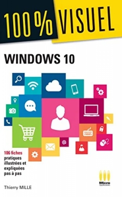 100% Visuel Windows 10