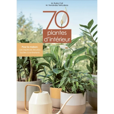 70 plantes d'intérieur