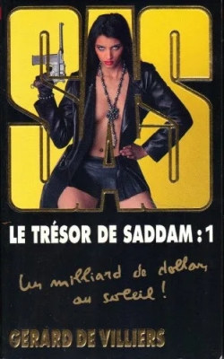 SAS, tome 163 : - Le trésor de Saddam Tome 1