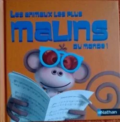 Les Animaux Les Plus Malins Du Monde