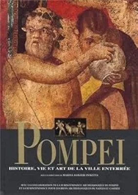 Pompéi- Hitsoire, vie et art de la ville enterrée