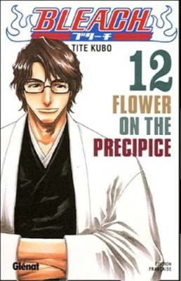 Bleach - Tome 12 - Flower on the precipice