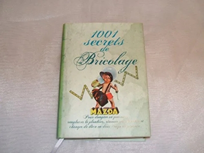 1001 Secrets De Bricolage