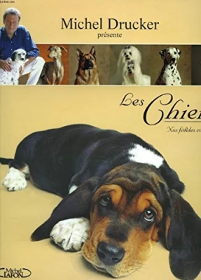 Les Chiens - Nos Fidèles Compagnons