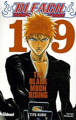 Bleach - Tome 19 - The Black Moon Rising