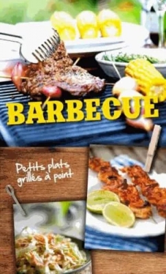 Barbecue - Petits plats grillés à point