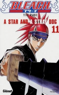 Bleach - Tome 11 - A star and a stray dog