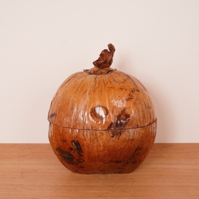 Seau à glace noix de coco naturalisée années 70