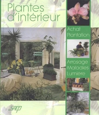 Plantes d'intérieur